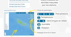 Les pages Observations 