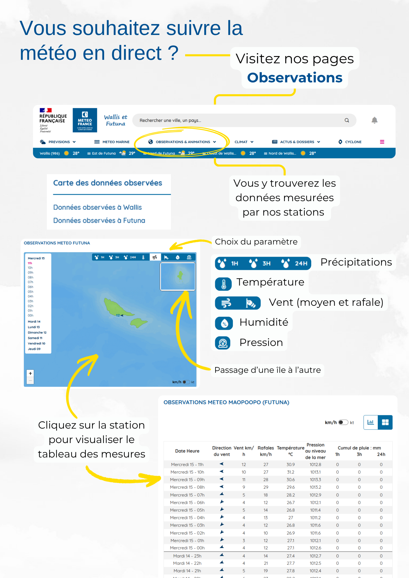 Les pages Observations 